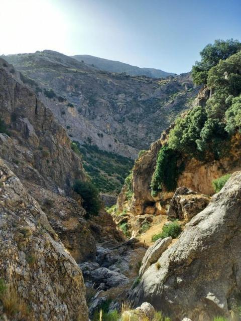 Cave Holidays Andalucia Los Carriones 외부 사진